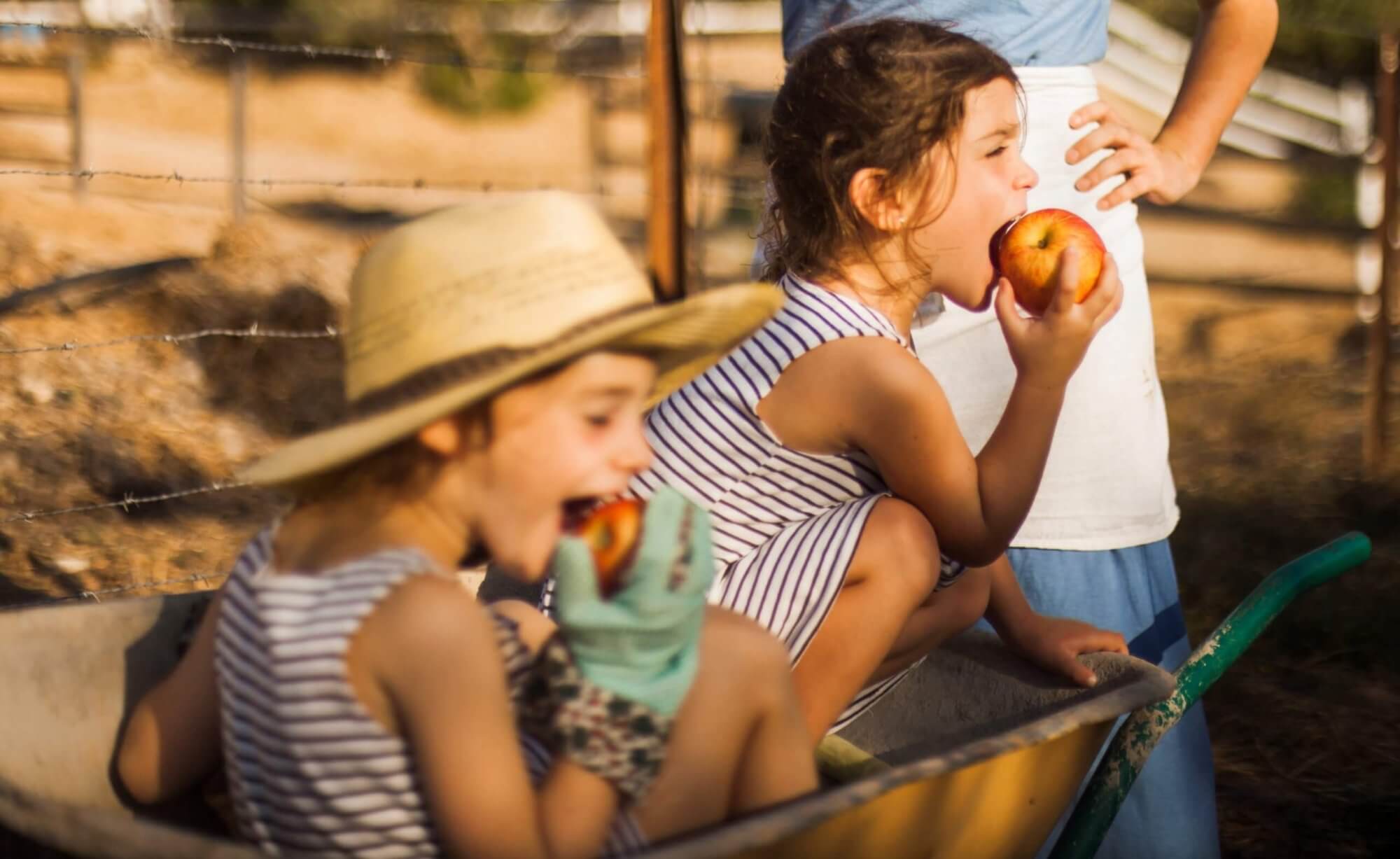 Algumas crianças têm dificuldade em ingerir água, alimento fundamental especialmente nessa época do ano. É muito importante que os pais estejam atentos e estimulem o consumo de líquidos no verão.